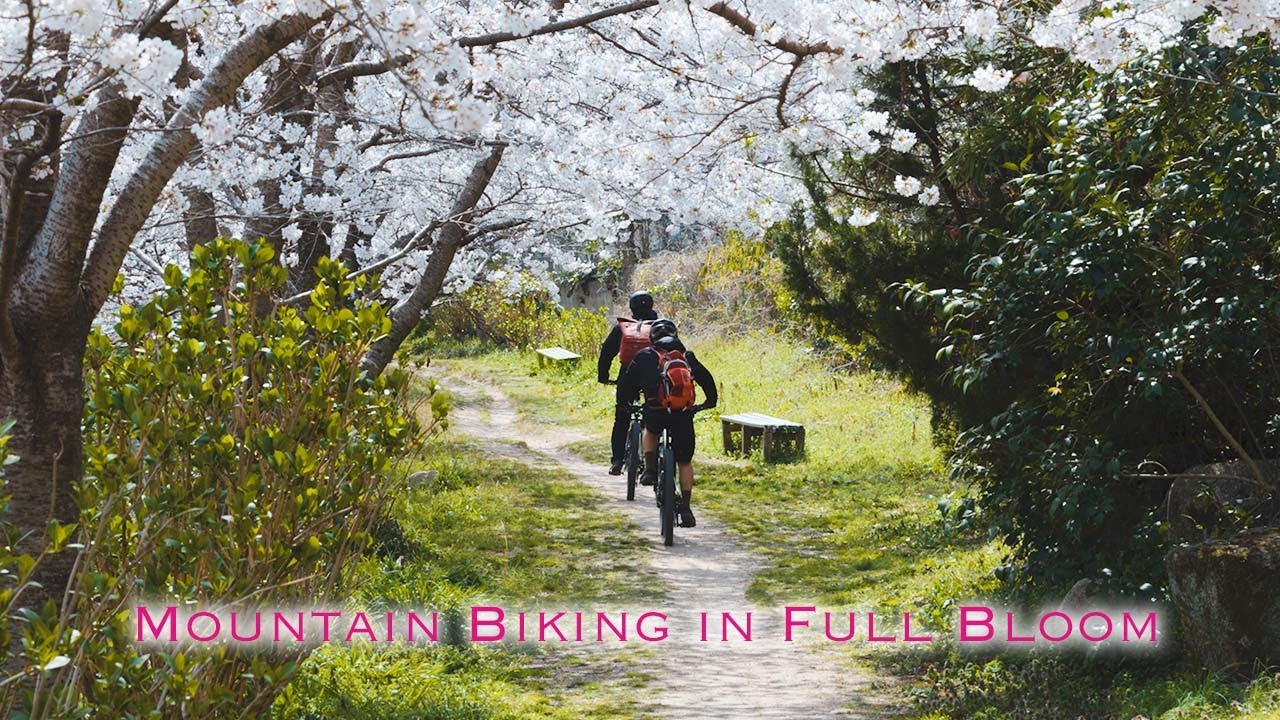 【春ライド】桜 × MTB！CycleFlowerらしい最高の1日
