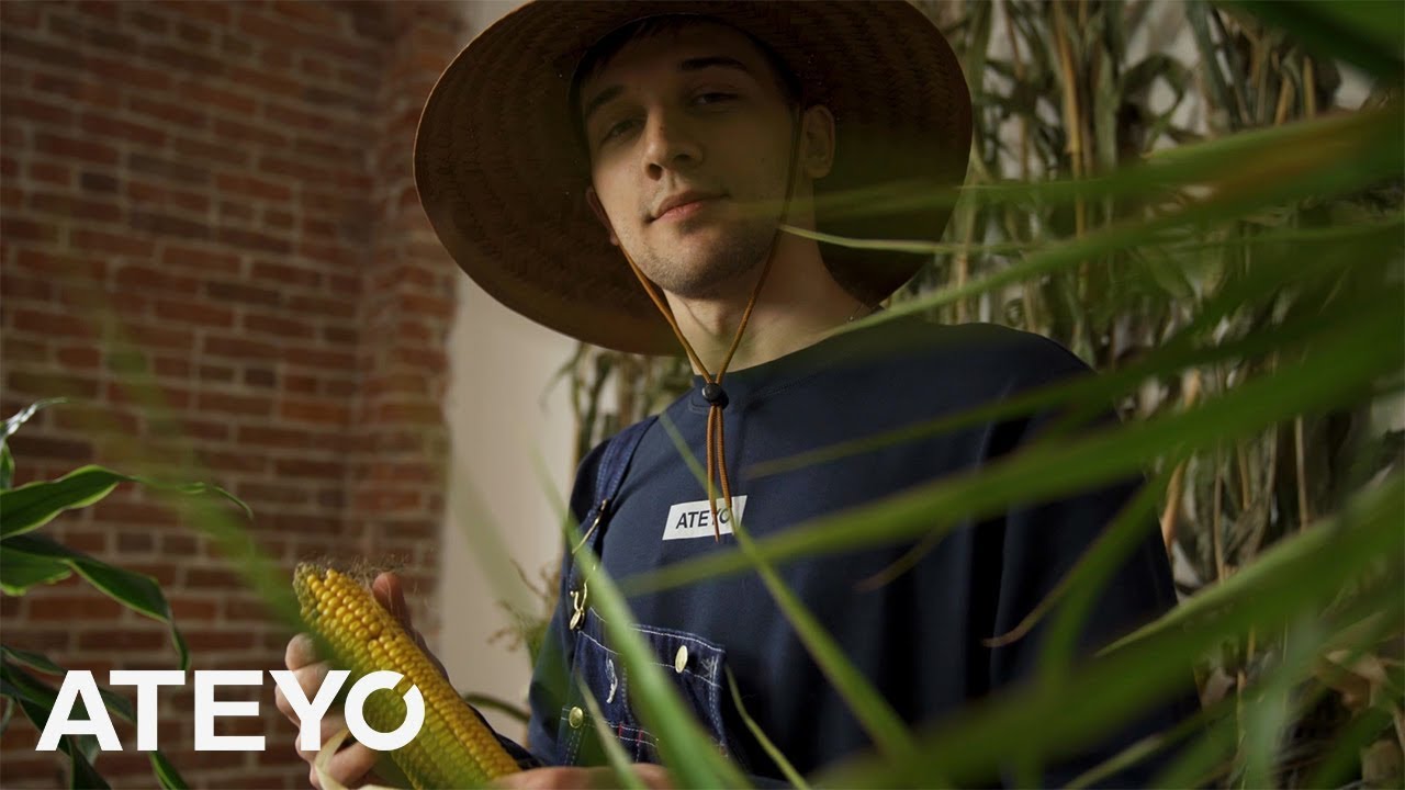 Arteezy The Farmer