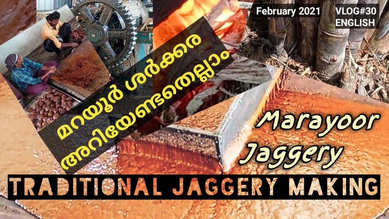 Jaggery Making At Marayoor | गुड़ बनाना | മറയൂർ ശർക്കര നിർമ്മാണം மறையூர் வெல்லம் தயாரித்தல் #Munnar