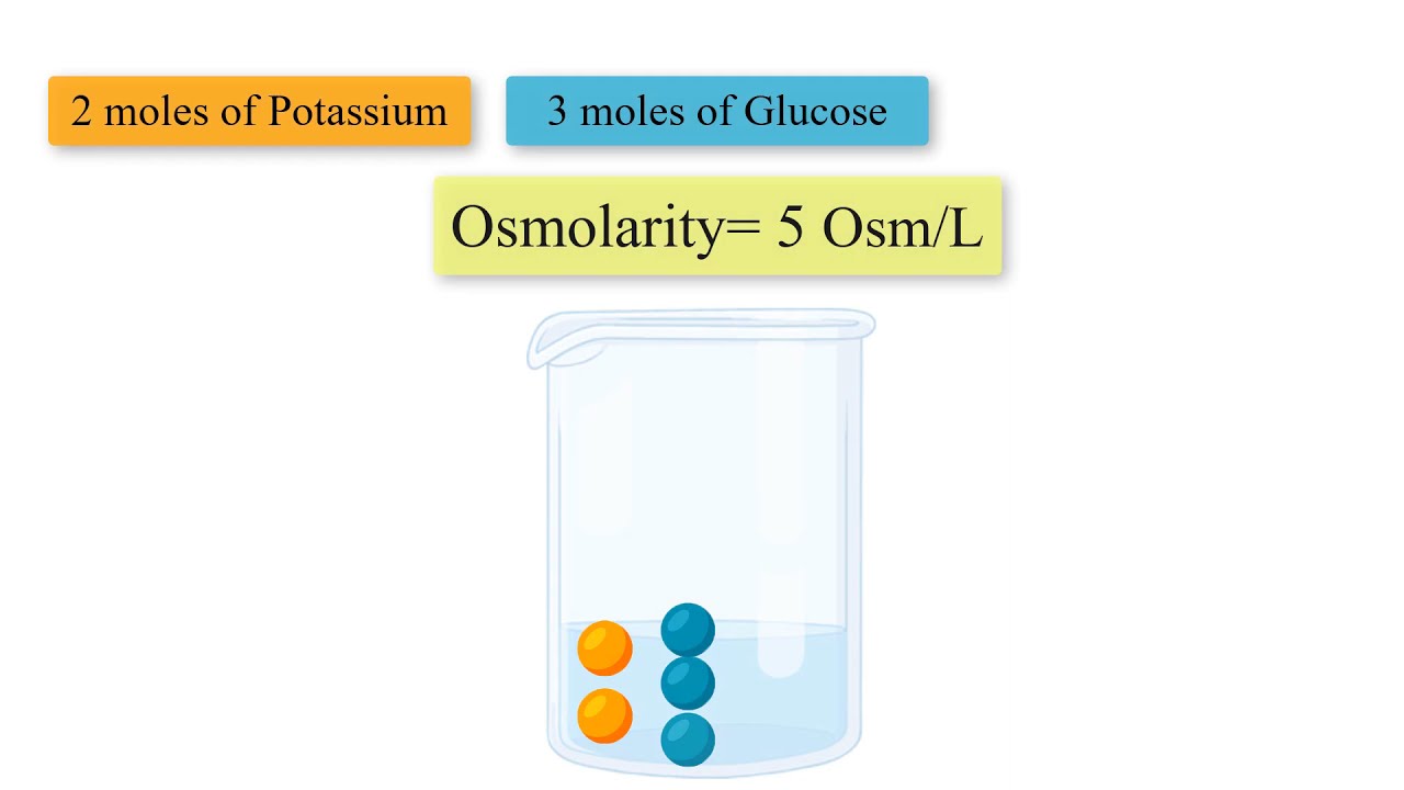 OSMOSIS EXPLAINED!  What is osmolarity?  What are osmoles?