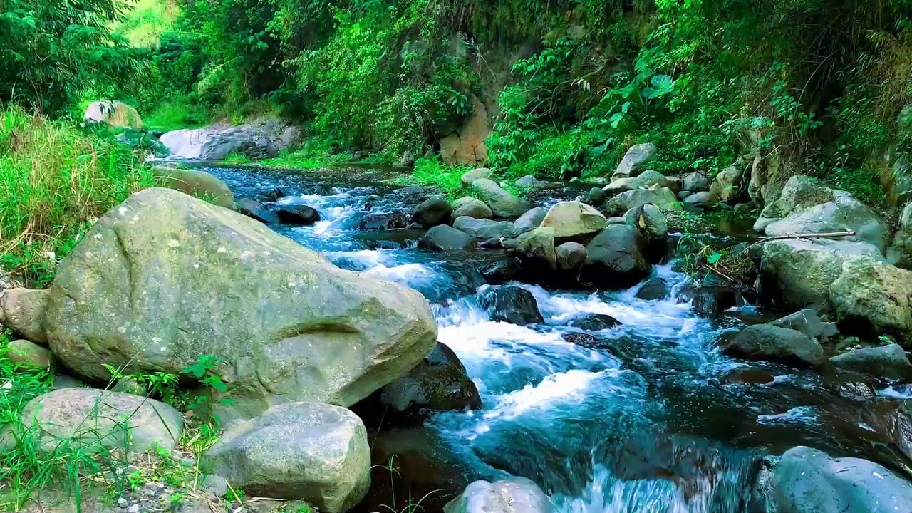 Tranquil Tropical Forest River to help Falling Asleep Fast & Anxiety Relief