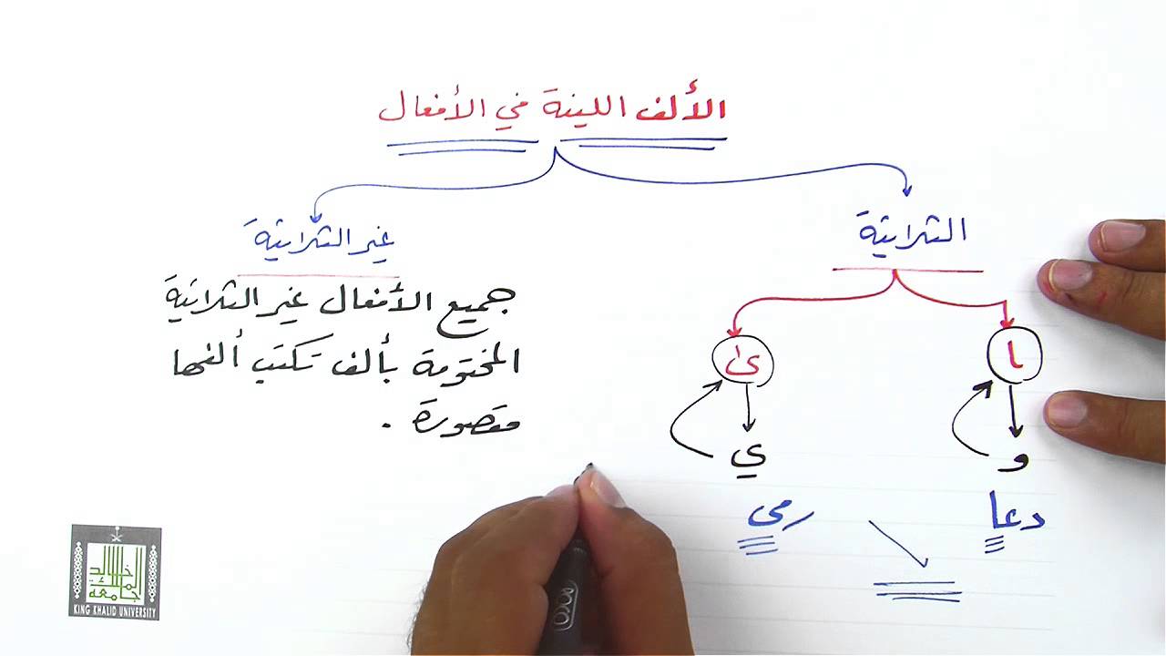الألف اللينة في الأفعال١