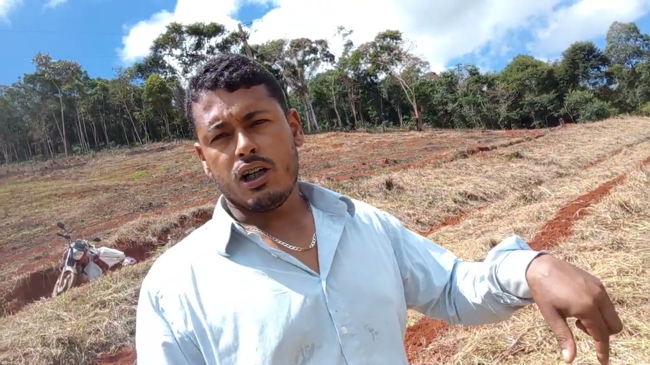 Furando pra plantar café #agro#cafe#plantio