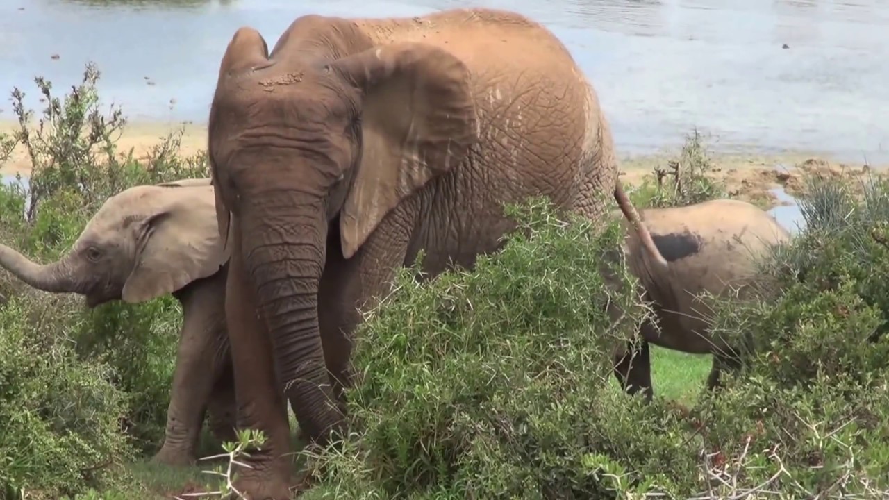 MORENITA RUGGI - SUDAFRICA - FEBBRAIO 2015