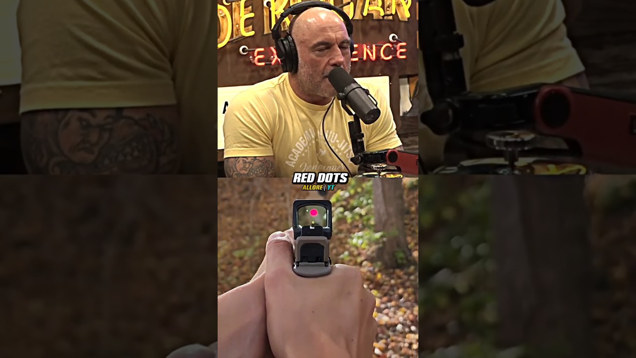 🔴Red Dot Or Iron Sight Better🎯