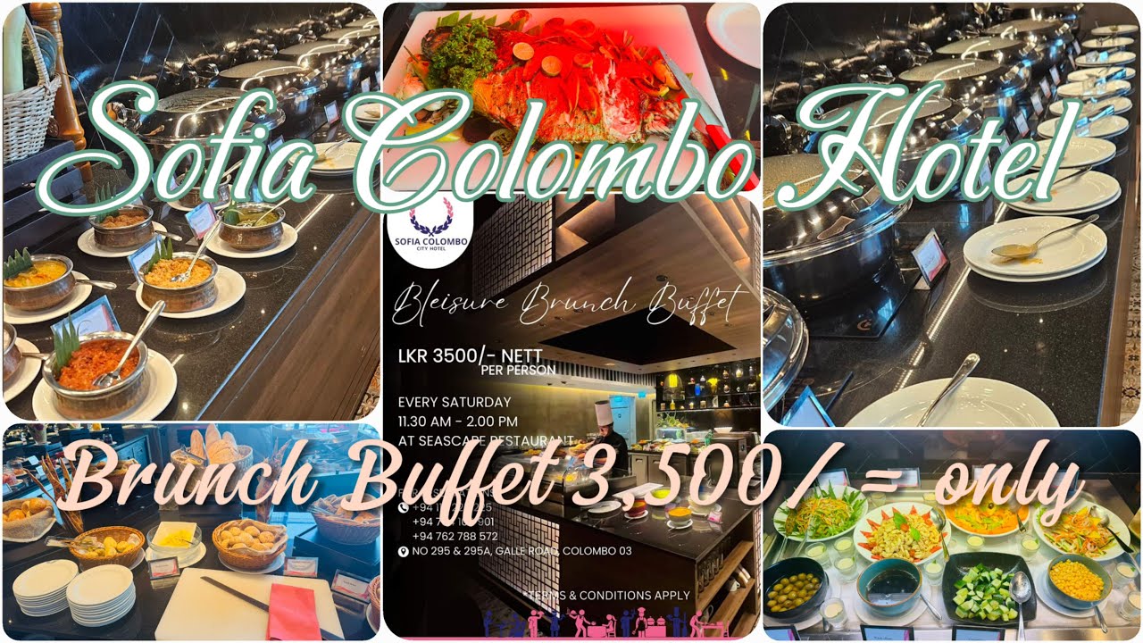 Unlimited Brunch Buffet 3,500 only Sofia Colombo Hotel #buffet #mrwalkerceylon #foryou #viralvideo