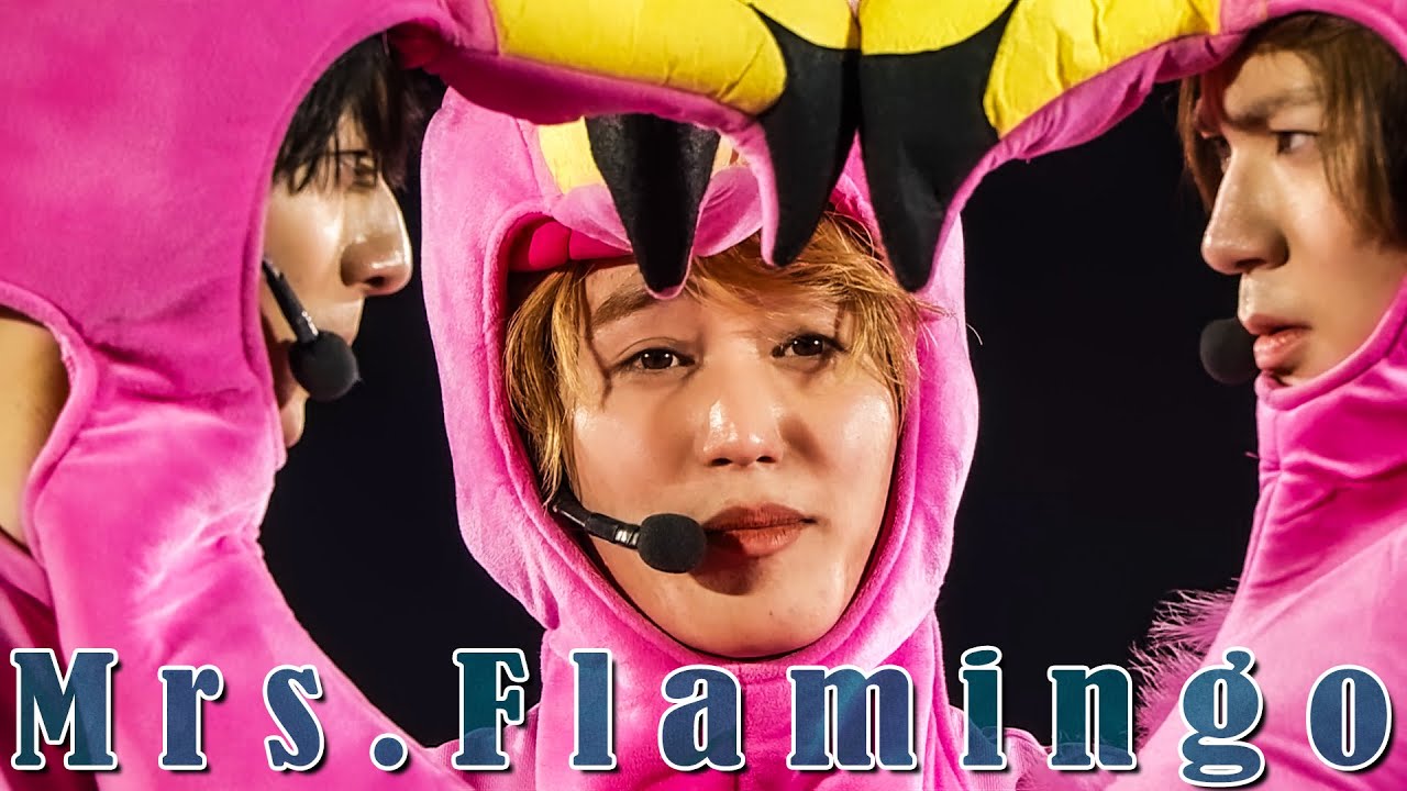 HiHi Jets「Mrs.Flamingo」（Arena Tour 2024 BINGO）