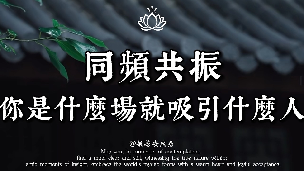 為什麼你身邊總有“爛人”？真相就在你的磁場裡。佛說：同頻共振，修好自己的場，好運才會不請自來。【般若安然居】#心灵感悟 #修心 #能量療愈 #佛學 #人生感悟 #禅意生活 #心靈暖流