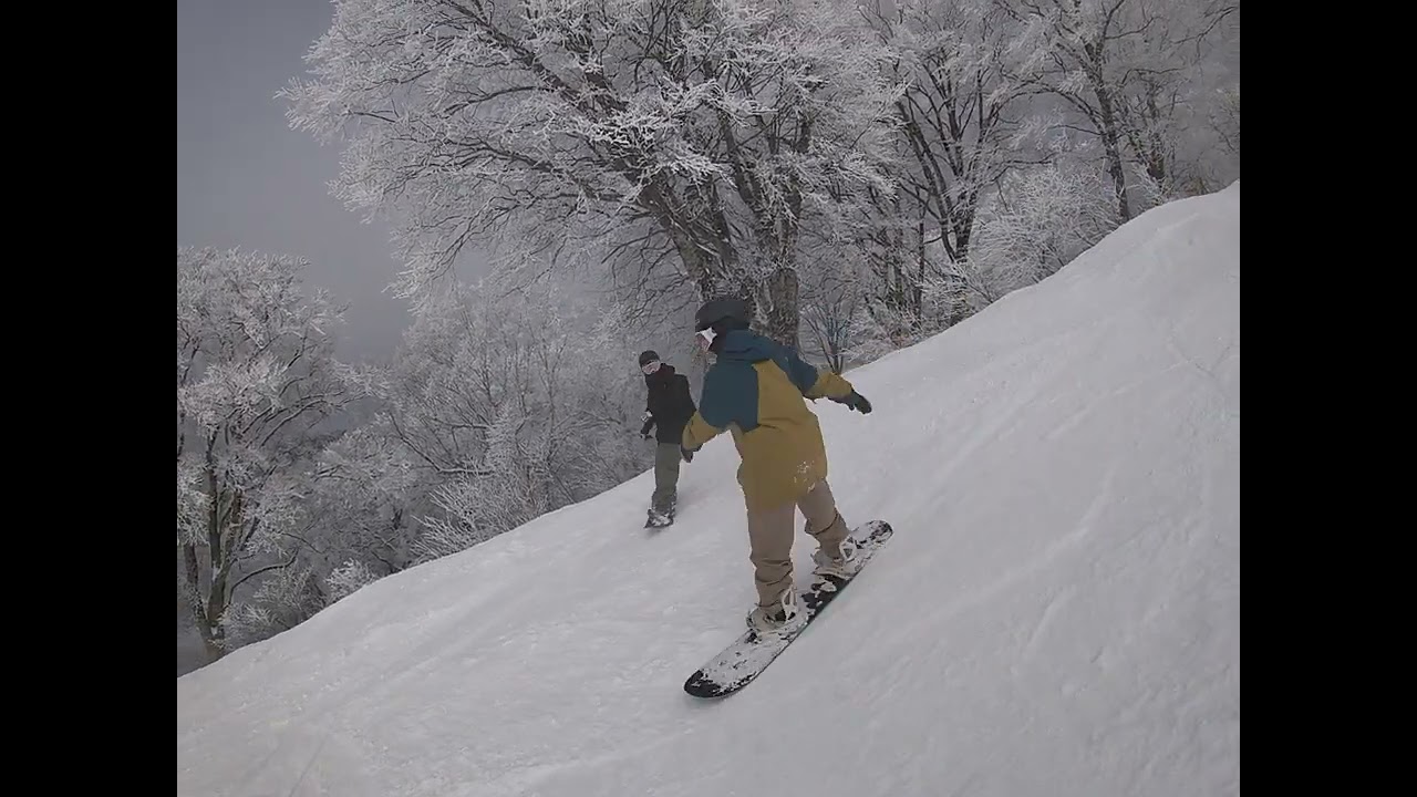 Nozawa peak run
