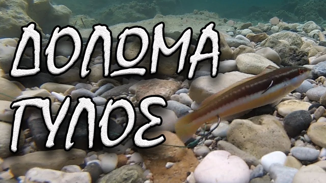 ΔΟΛΩΜΑ ΓΥΛΟΣ-ΤΟ 