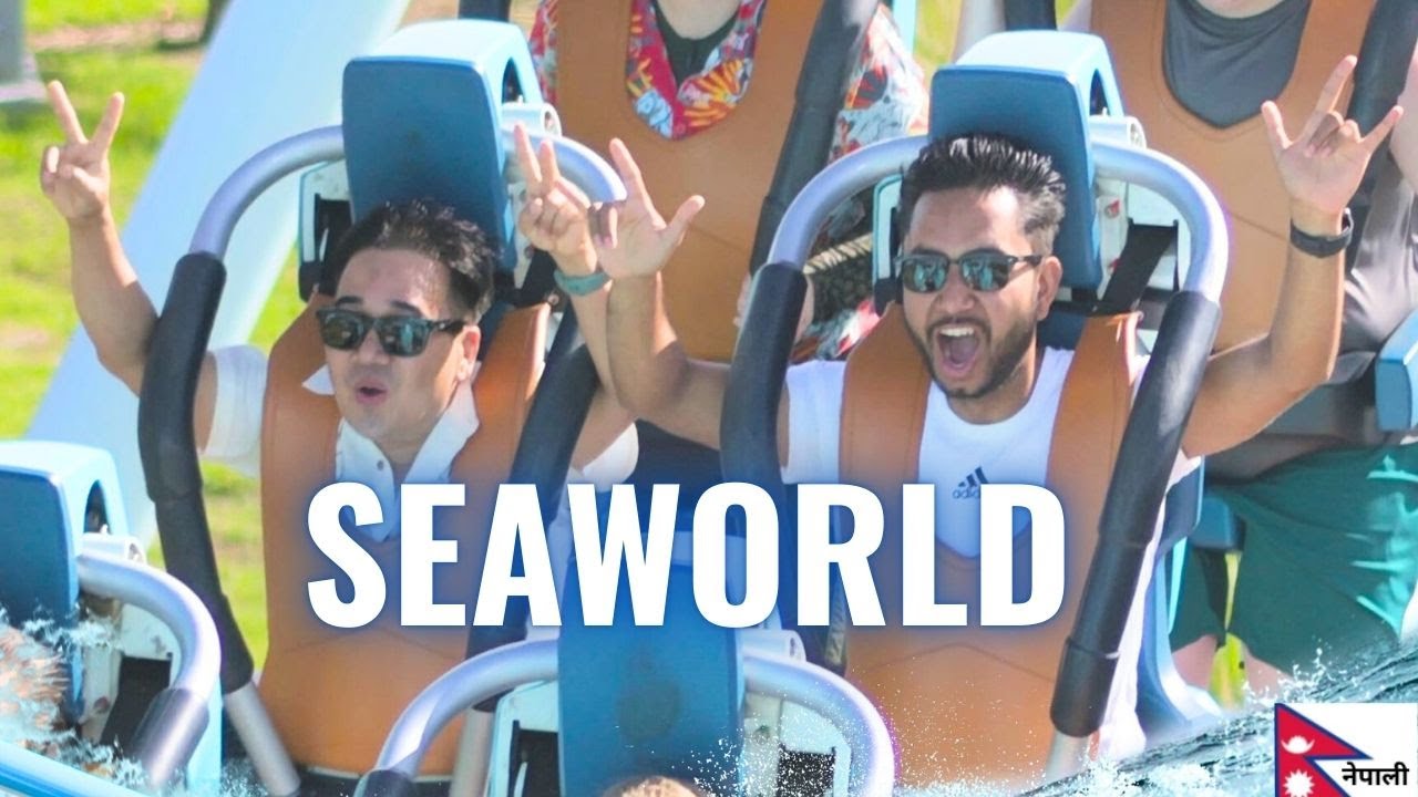 From Dolphin Shows to Rollercoaster Fun| FL Vlog Day 6