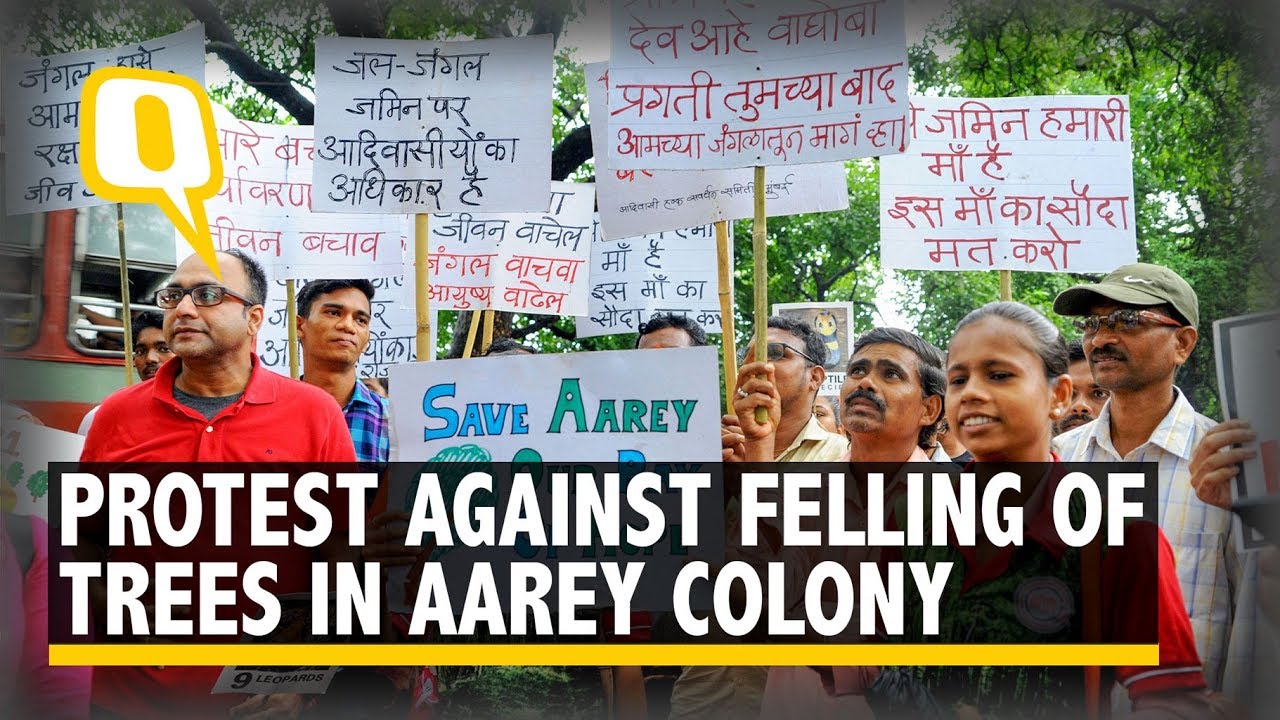 Protests Erupt as BMC Okays Felling of 2,700 Trees in Aarey Forest | The Quint