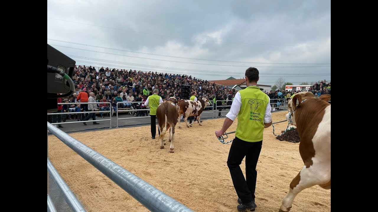 Bullenparade 2024 - NEW AGE