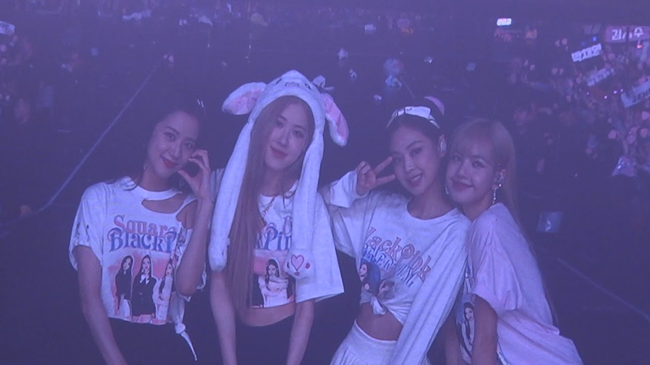 [190126] BLACKPINK World Tour in Hong Kong (Encore) - Ddu Du Ddu Du / Photo Time / Stay