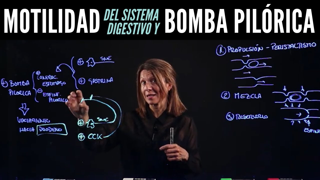Motilidad del Sistema Gastrointestinal
