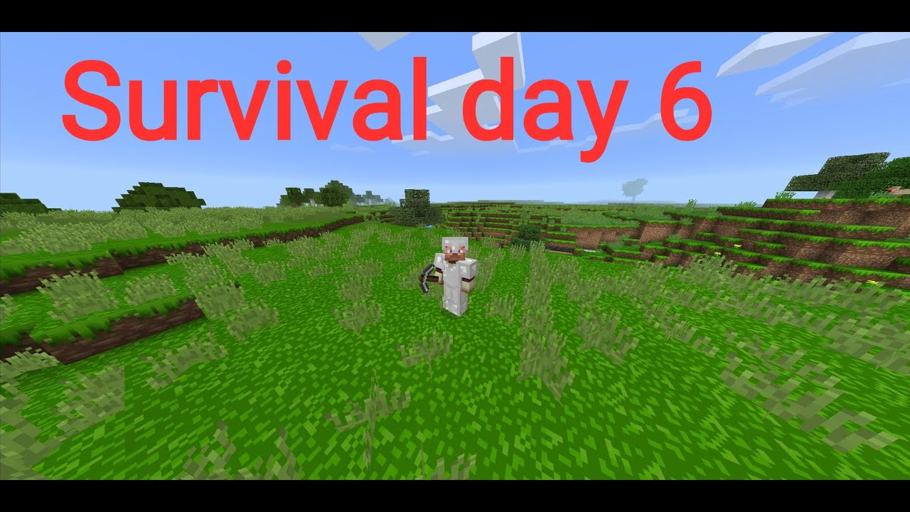 Survival day 6
