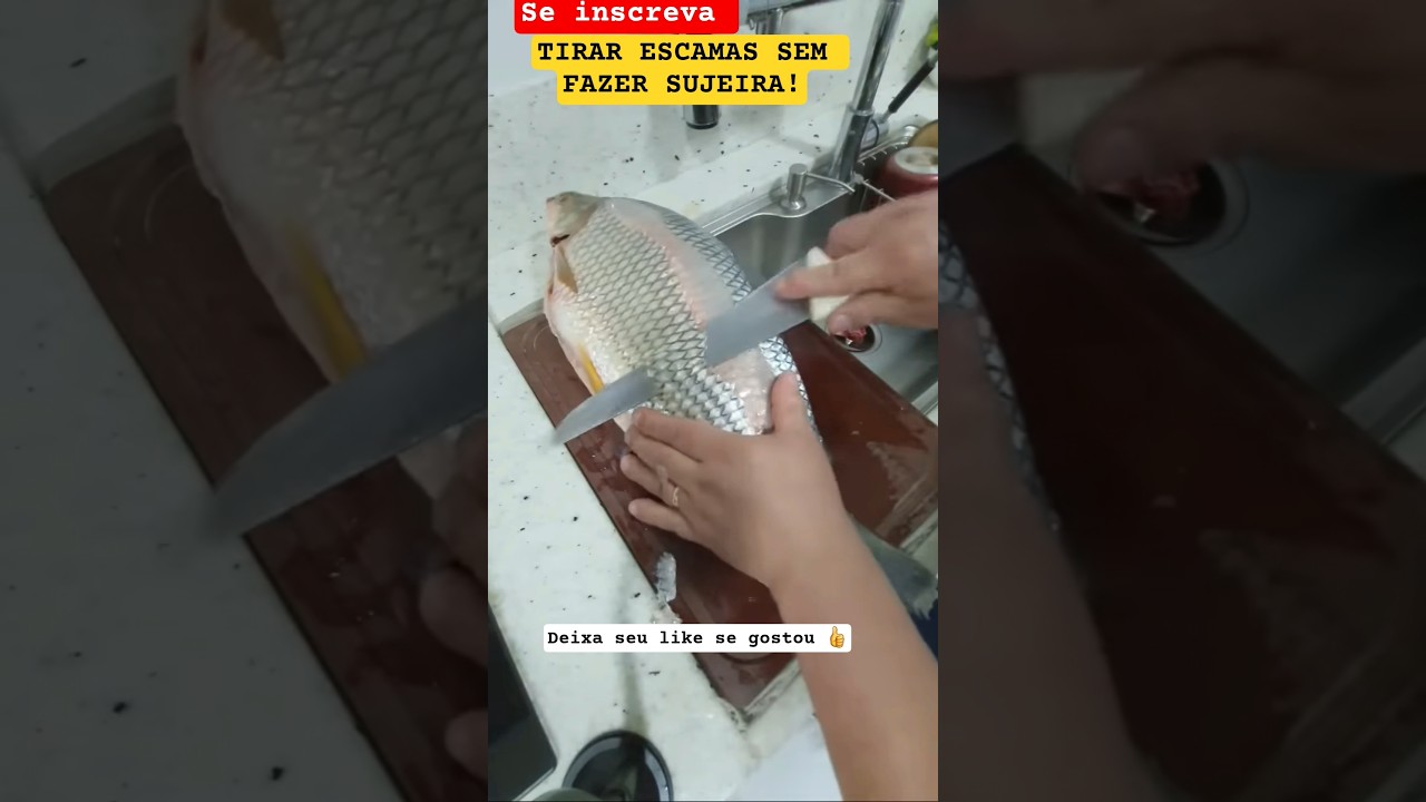 #shorts #short #fish #peixe #pescaria #viral #shortvideo #curimba #limparpeixe #pesca #video #brasil