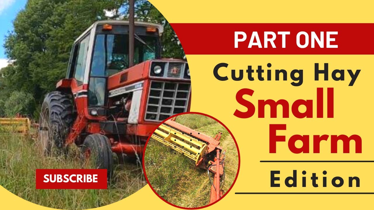 Cutting Hay The Basics Part One | The Farm Wolf