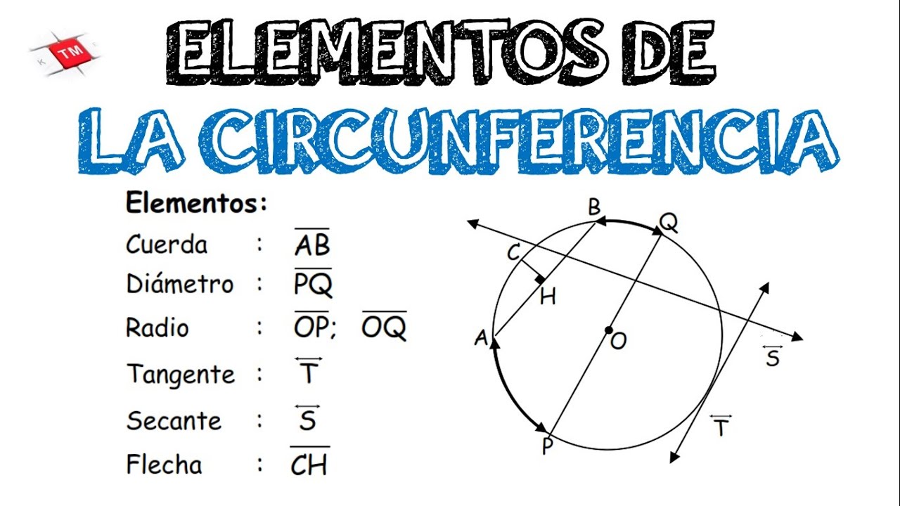 ELEMENTOS DE LA CIRCUNFERENCIA