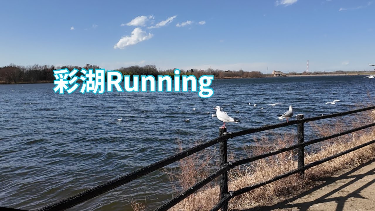 【ランvlog】彩湖Running｜静かな湖畔を走る午後