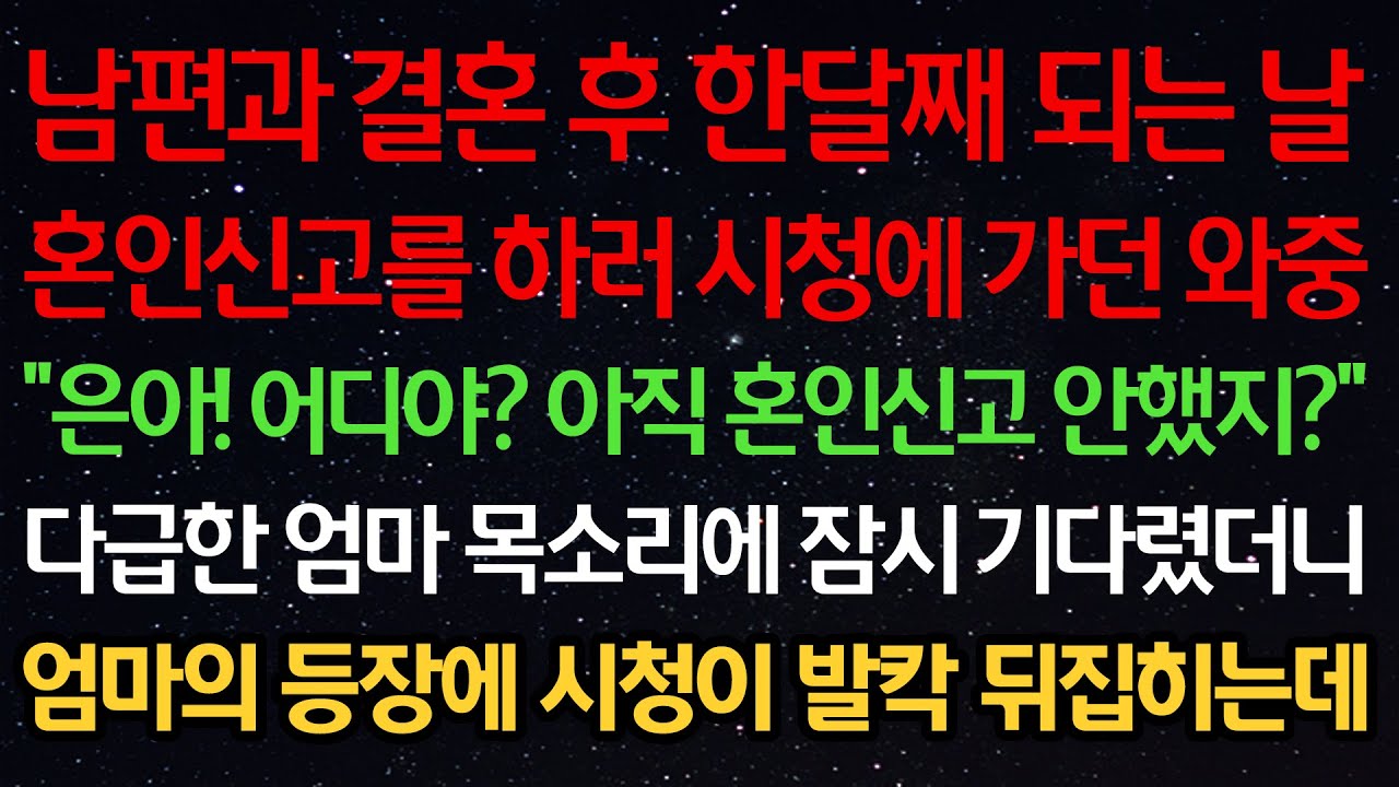 실화사연-남편과 결혼 후 한달째 되는 날 혼인신고를 하러 시청에 가던중 “은아! 어디야? 아직 혼인신고 안했지?” 다급한 엄마 목소리에 잠시 기다렸더니 시청이 발칵 뒤집히는데