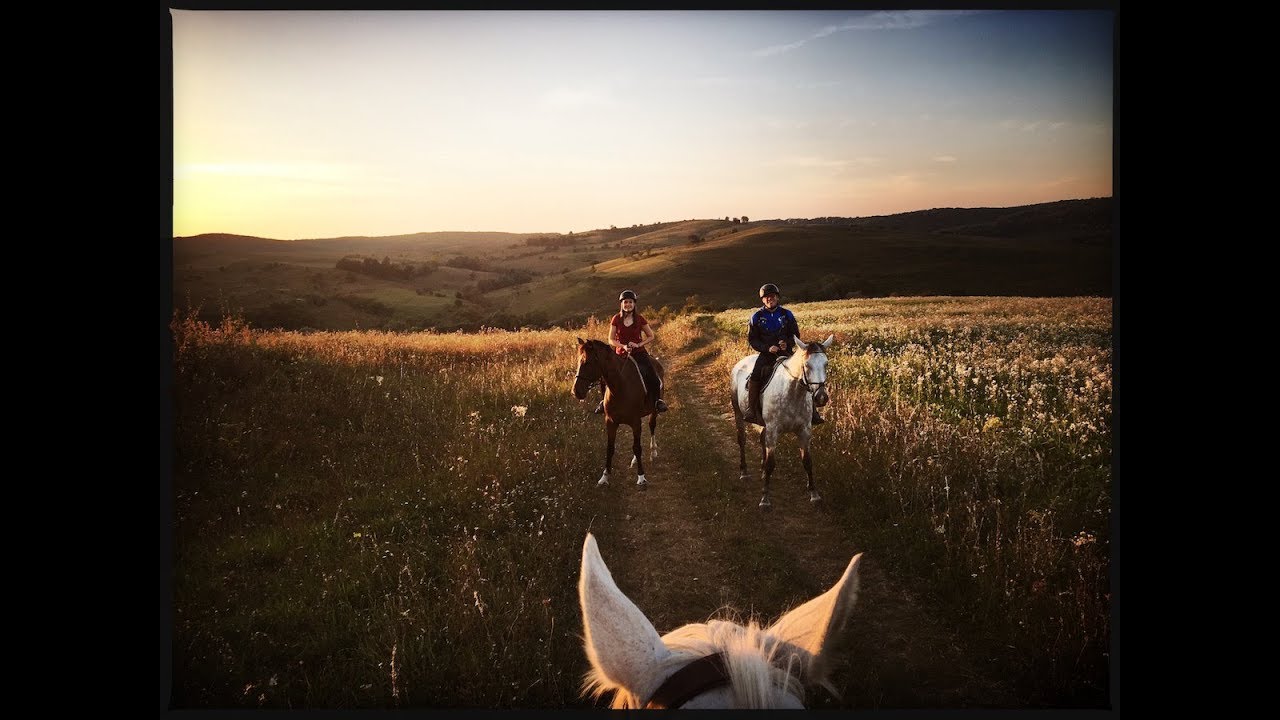 Randonnée à cheval - Aposol, région de Sibiu (Roumanie)