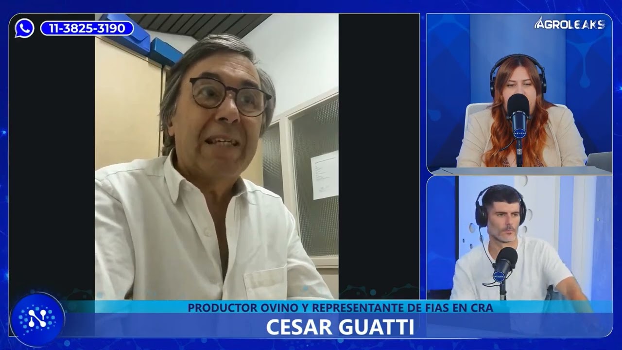  EXPORTACIÓN DE LANA SUCIA | ¿qué cambia con la nueva desregulación del Senasa? - Agroleaks 