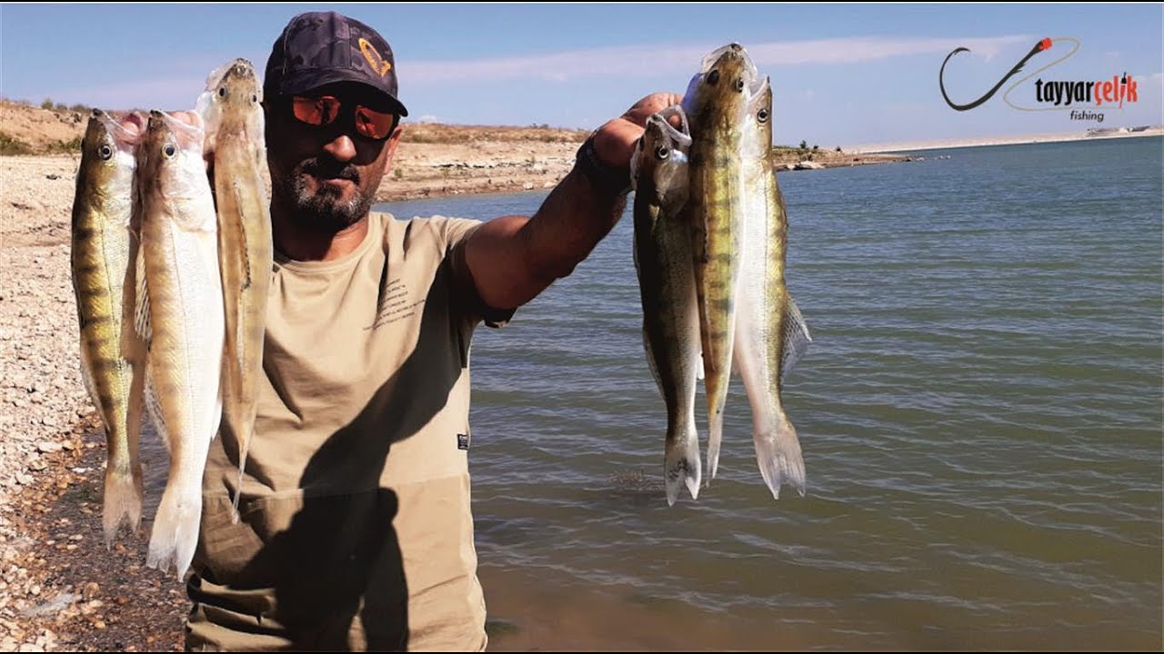 Gece Sudak Balığı Avı | Zander Fishing | Tatlı Su Levrek Avı
