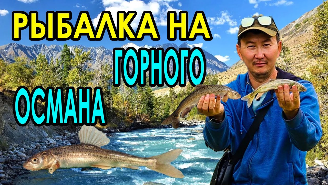 КАК ЛОВИТЬ РЫБУ КАК ПРОФИ НА ПРОСТУЮ УДОЧКУ