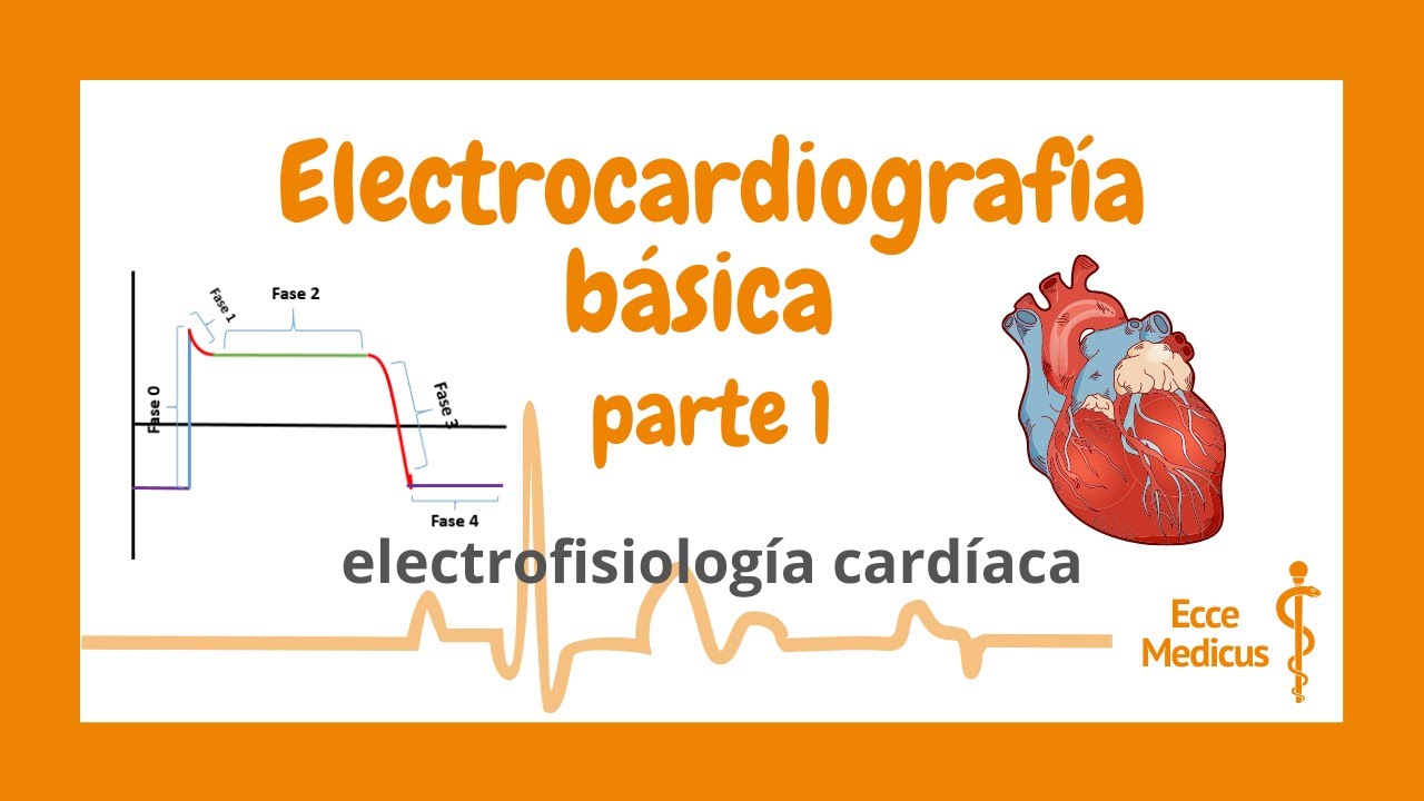 Electrocardiografía básica: 1 - electrofisiología cardíaca.