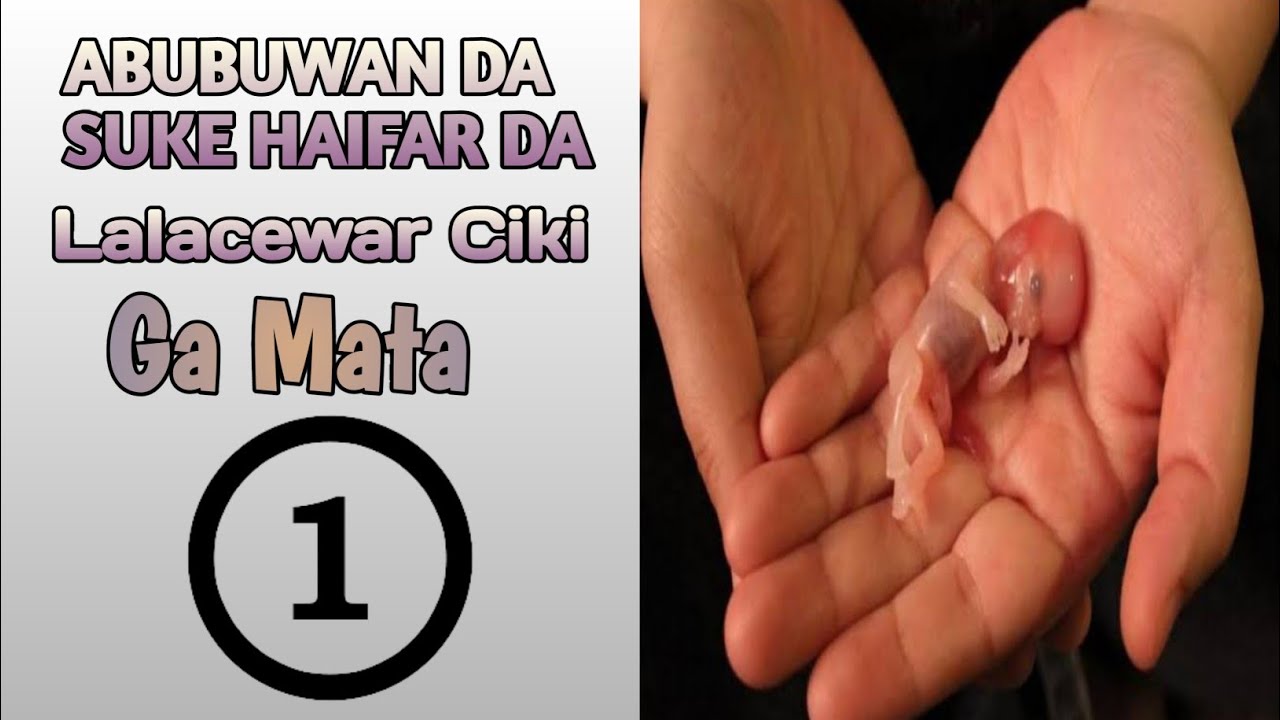 Zubewar Ciki Da Abubuwan da suke Kawo Matsalar Kashi Na Daya