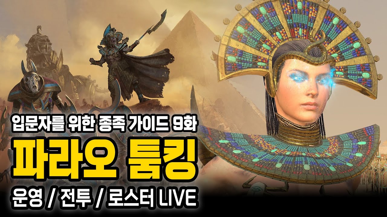 [LIVE] 토탈 워 워해머3 - 종족별 뉴비 보통 난이도 가이드 9화 - 툼킹 편