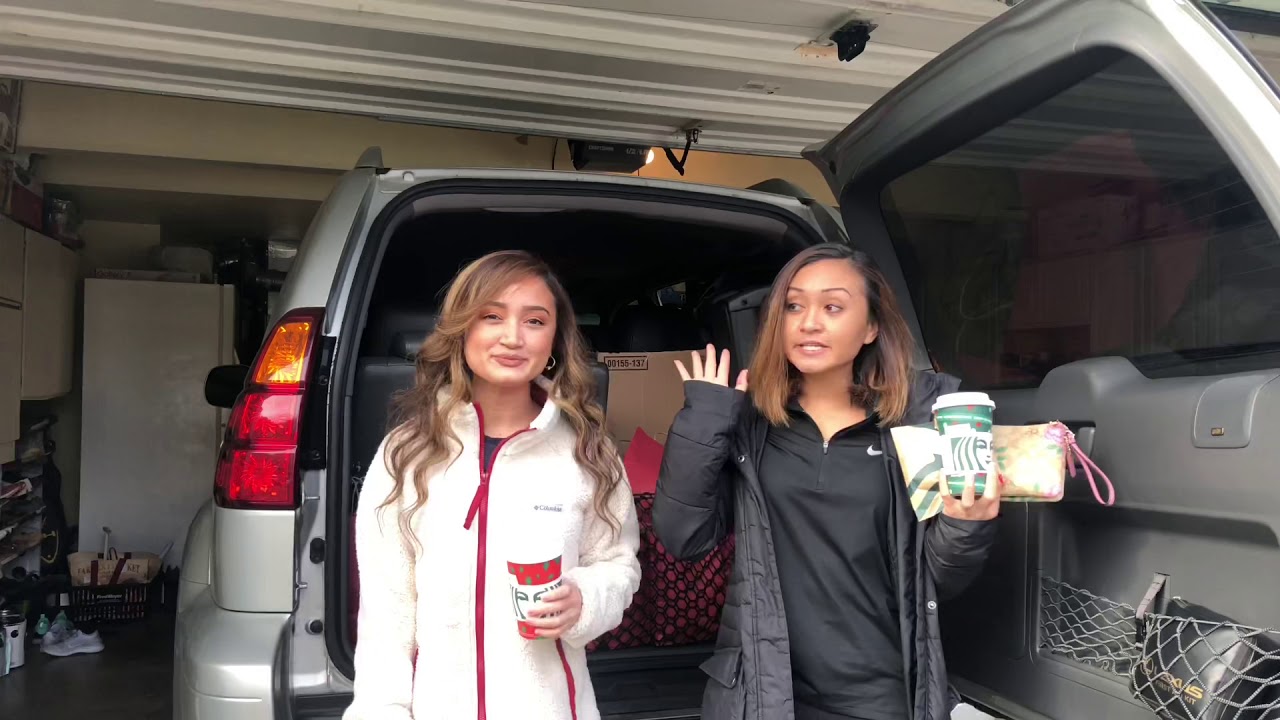 Thanksgiving day (vlog)