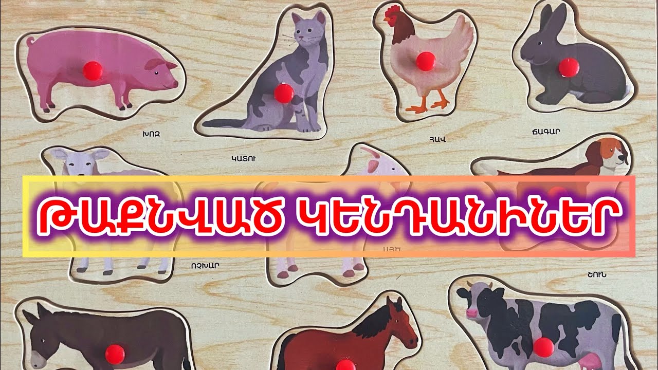 Թաքնված Կենդանիներ / taqnvac kendaniner