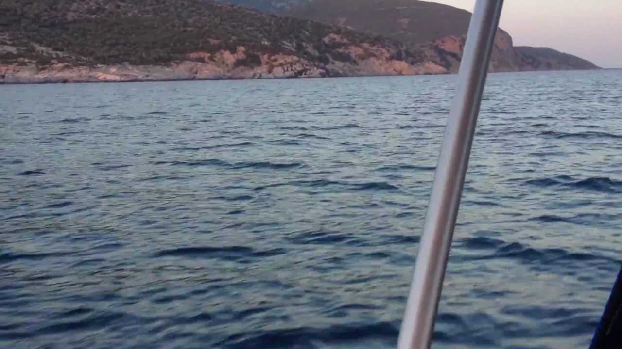 POSEIDON 470 VIDEO 2