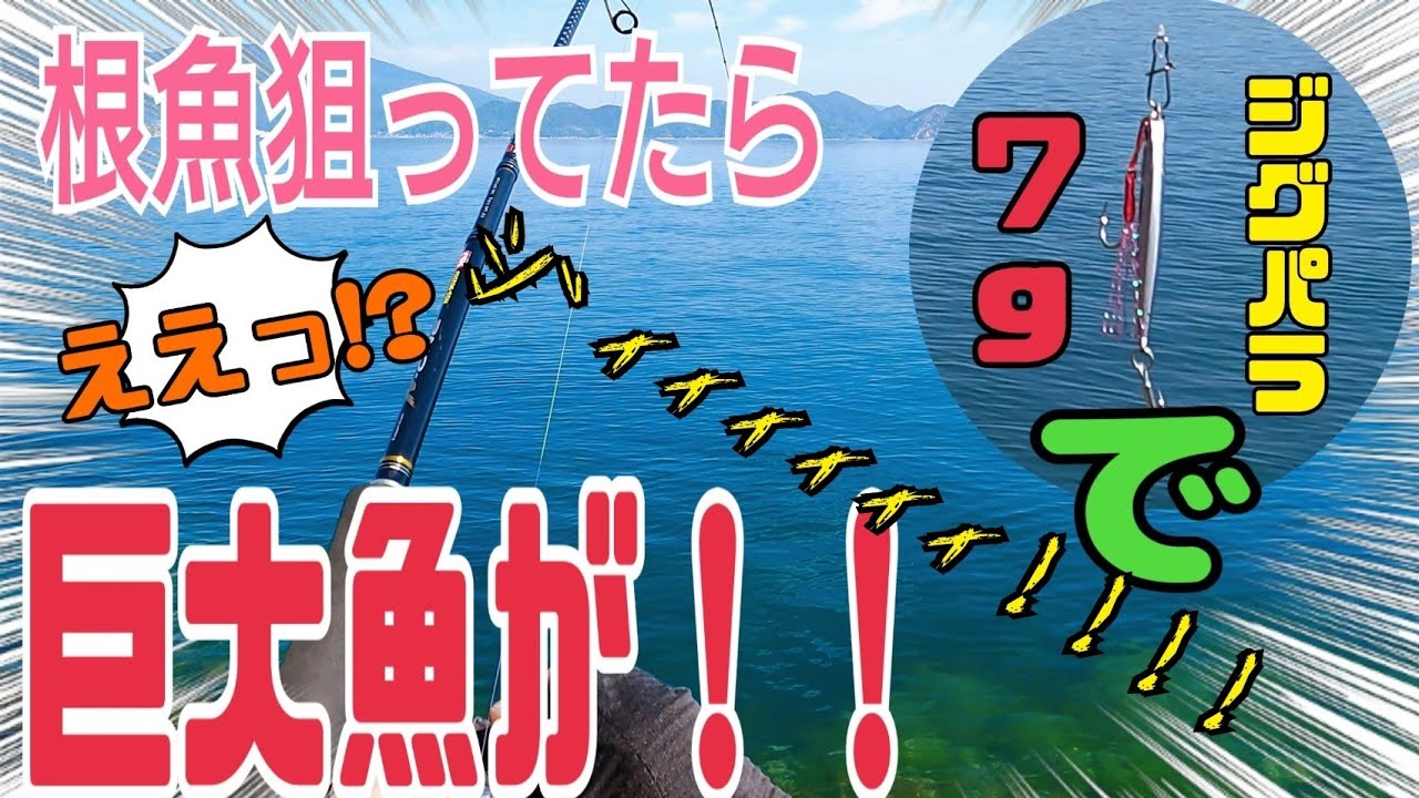 【LSJ SLS】　広島の上蒲刈島で７ｇのジグで根魚狙ってたら巨大なとんでもない魚が釣れてしまった。