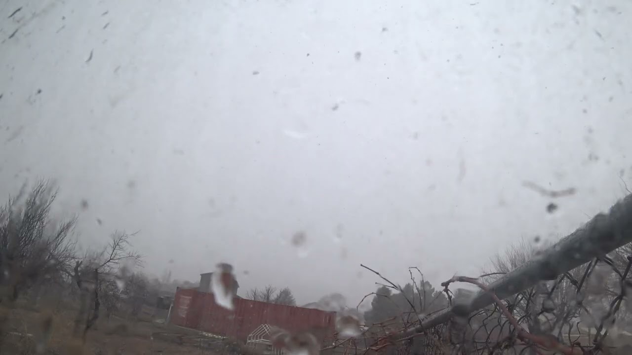 First Snow of This Winter 01/08/26
