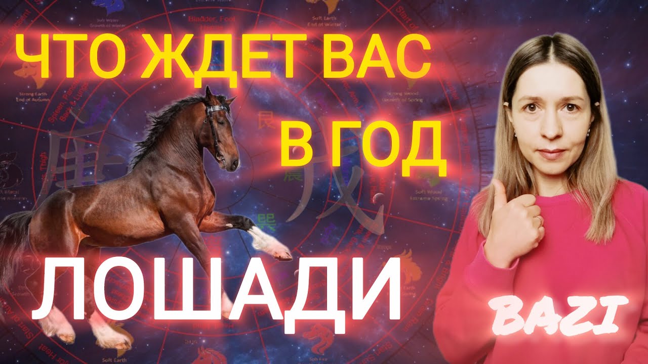 Что ждать от года Лошади? Прогноз Бацзы на 2026 год. Кого ждут перемены и в каких сферах жизни.