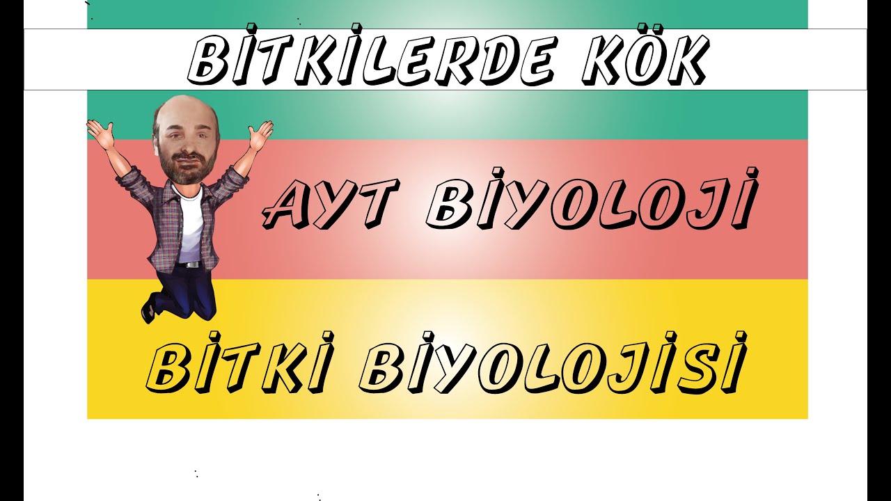 BİTKİLERDE TAŞIMA SİSTEMİ (FULL TEKRAR 2025 )