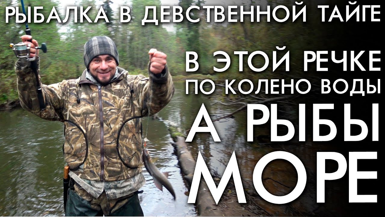 РЫБАЛКА В ДЕВСТВЕННОЙ ТАЙГЕ / В ЭТОЙ РЕЧКЕ ПО КОЛЕНО ВОДЫ А РЫБЫ МОРЕ