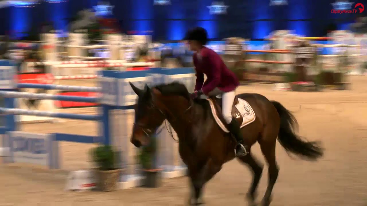 Luciana Diniz - Chacco Blue II - München 2019