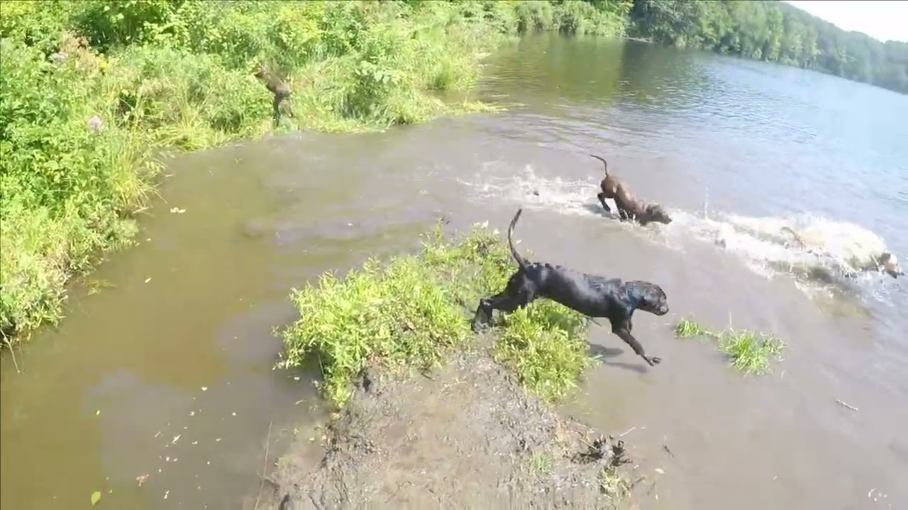 At the river 8/11
