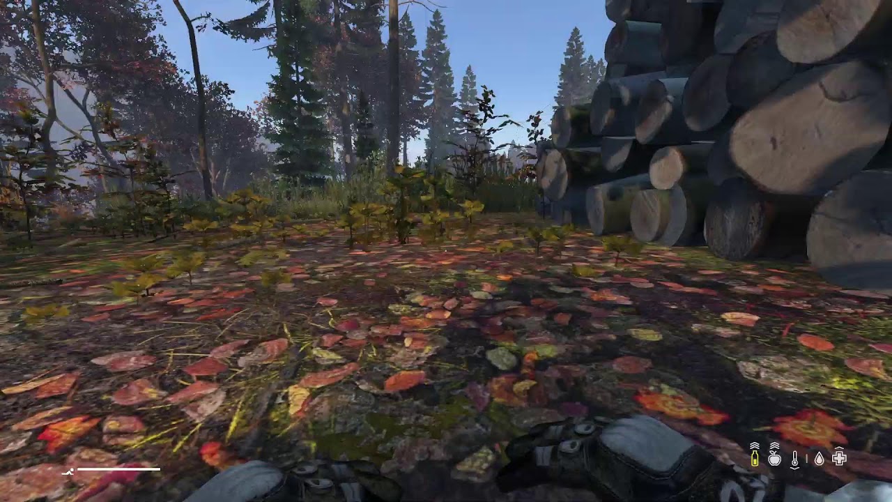 Dayz adventures and looting for ammo