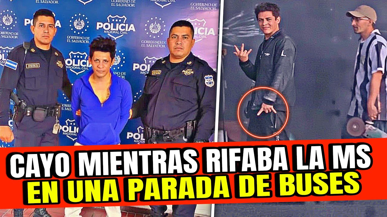 LE APLICARON LOS 3 DORITOS A PANDILLERO QUE CON GRAN ORGULLO RIFABA LA MARA EN PLENA VÍA PUBLICA