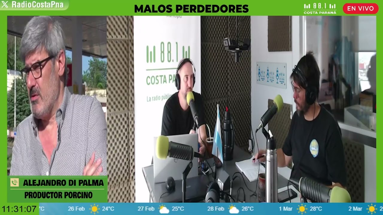 Productores porcinos reclaman un precio de referencia distinto | #MalosPerdedores