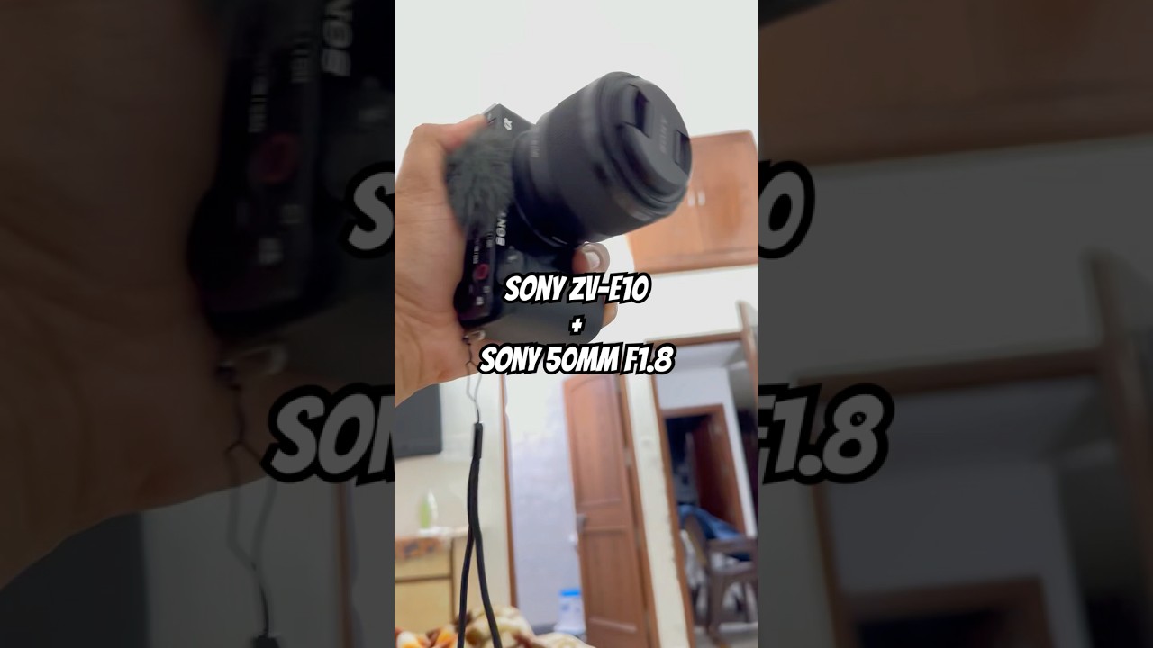 Sony Zv-E10 & Sony 50mm F1.8 is great combo for Photography!! #sonycamera #sonyemount #wildlife