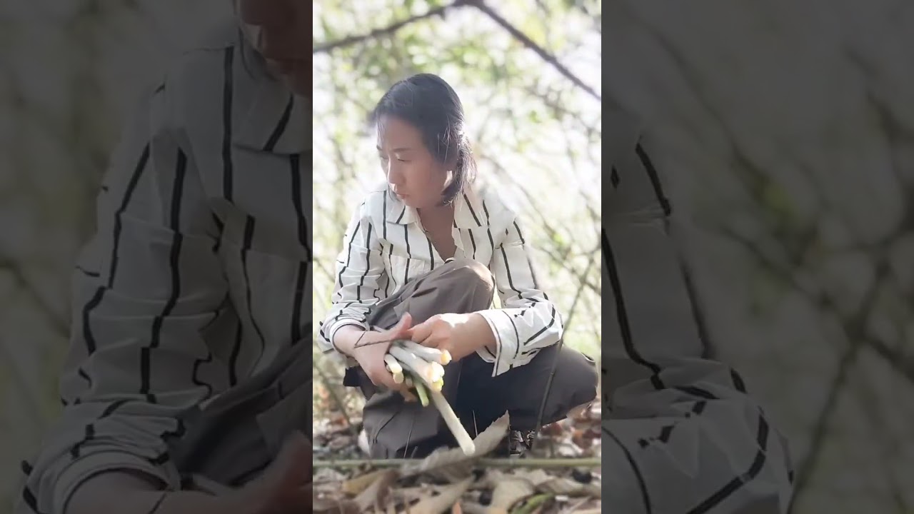 今年第一次拔糯米笋，可惜找不到那种很多很多的那种，只能拔一点小小个的，但一餐也足够，从毛笋吃了吃野笋过，靠山吃山，来自于大自然的馈赠。#每天都记录我的真实生活日常 #大山里的味道