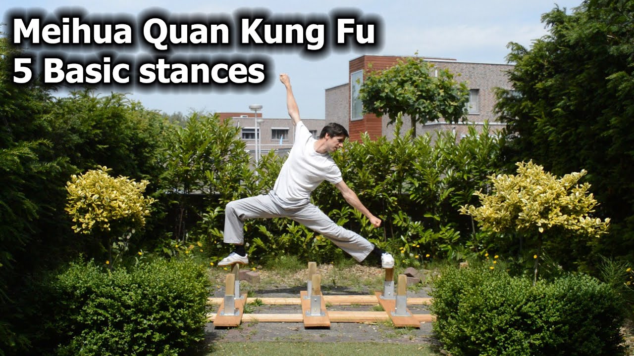 Meihua quan kung fu 5 basic stances on poles