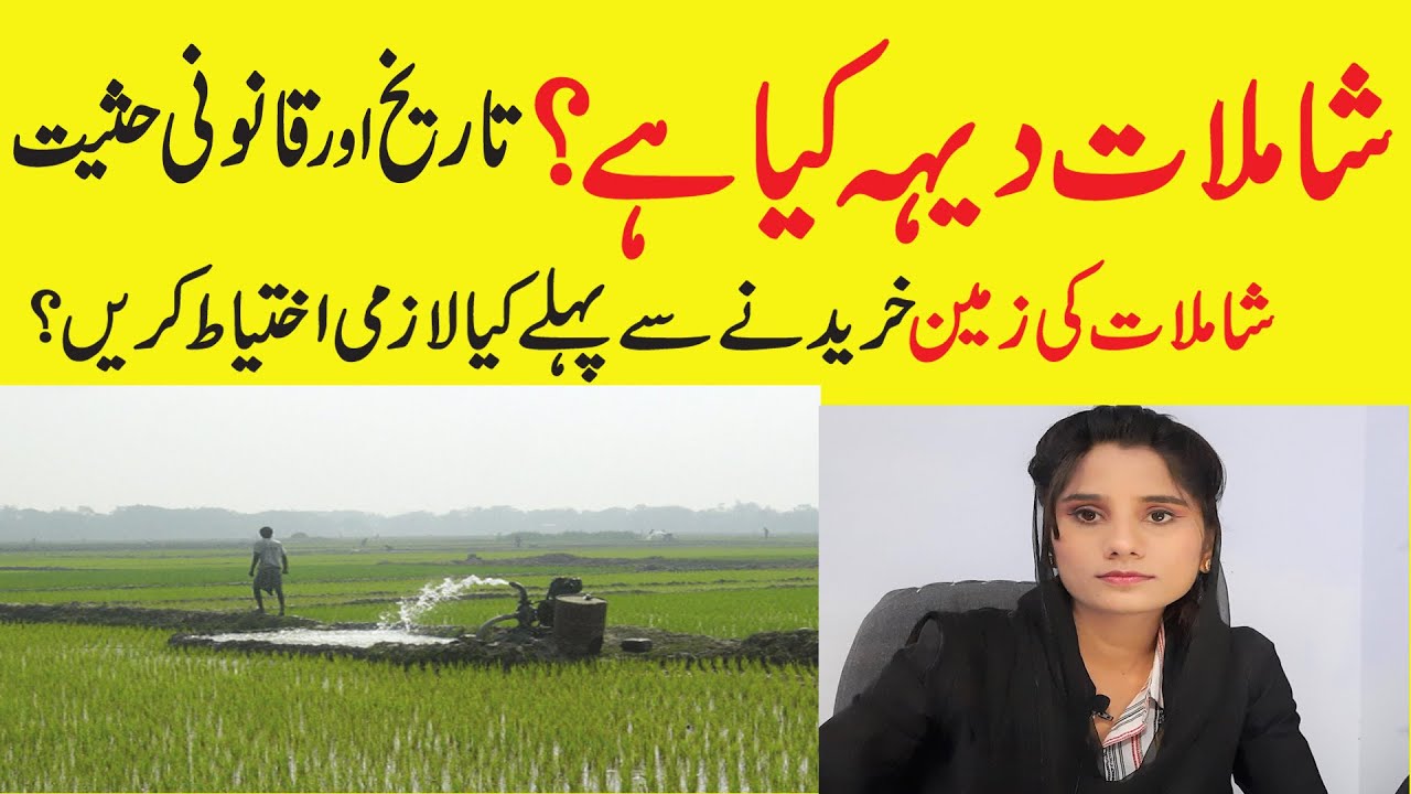 Shamlat Deh | Shamilat Land شاملات | History of Shamilat Property | Kya hoti hai Shamlat