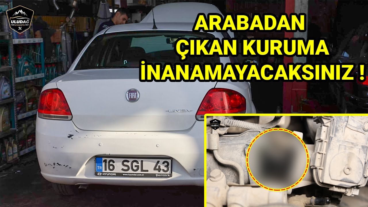 ROLANTİ DALGALANMASI PROBLEMİ BAKIN NEDENMİŞ ! (Fiat Linea 1.3 Multijet )